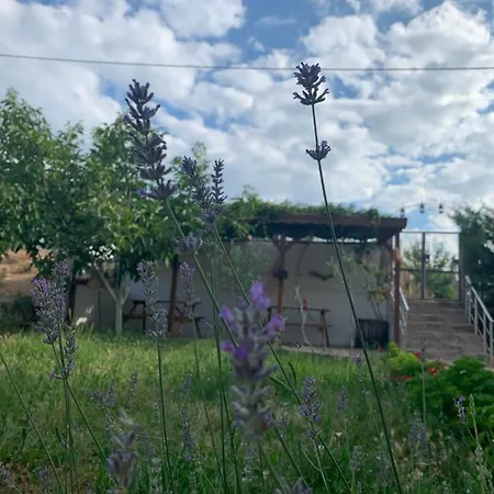 Goekceada 公寓 Ugurlu (Gokceada)