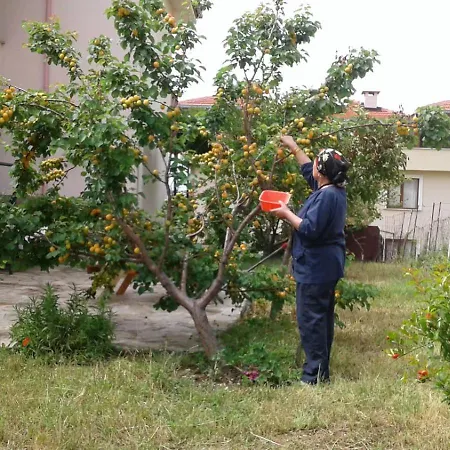 Goekceada Апартаменты