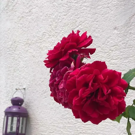 Goekceada Ugurlu (Gokceada)