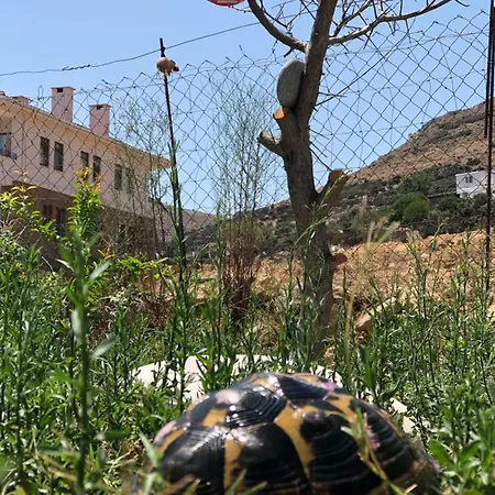 Апартаменты Goekceada Ugurlu (Gokceada)