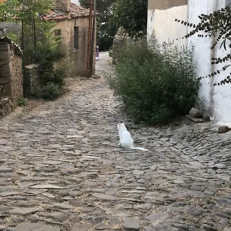 Gökçeada Uğurlu Apartamento *