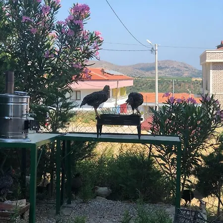 Goekceada * Ugurlu (Gokceada)