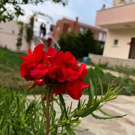 Goekceada Апартаменты *