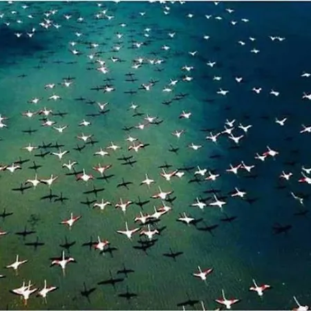 Goekceada Апартаменты