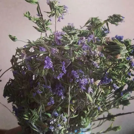 Goekceada * Ugurlu (Gokceada)