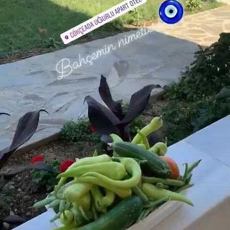 Goekceada 公寓 Ugurlu (Gokceada)