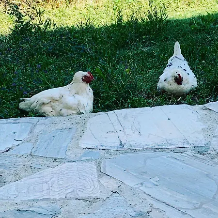 Goekceada Апартаменты *