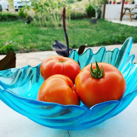 Апартаменты Goekceada Ugurlu (Gokceada)